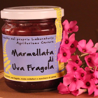 Confettura di Uva Fragola