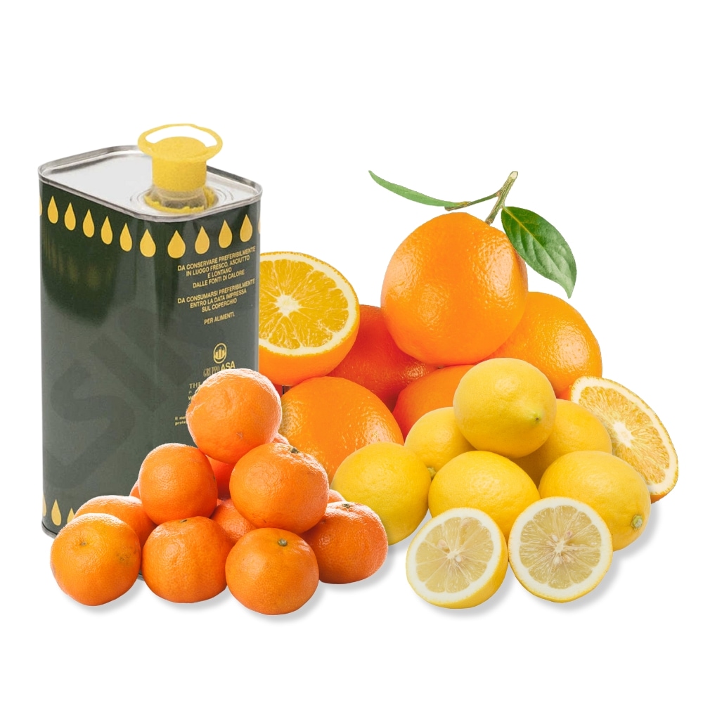 Degusta-Rio Box Medium