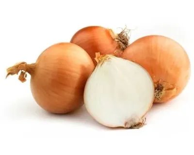 Cipolla Dorata