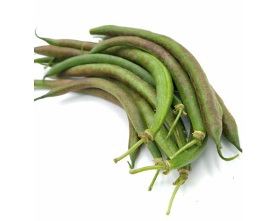 Fagiolino