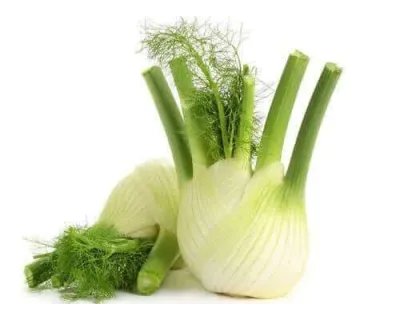 Finocchio