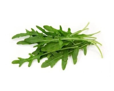 Rucola