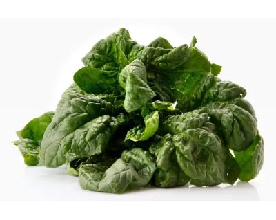 Spinaci