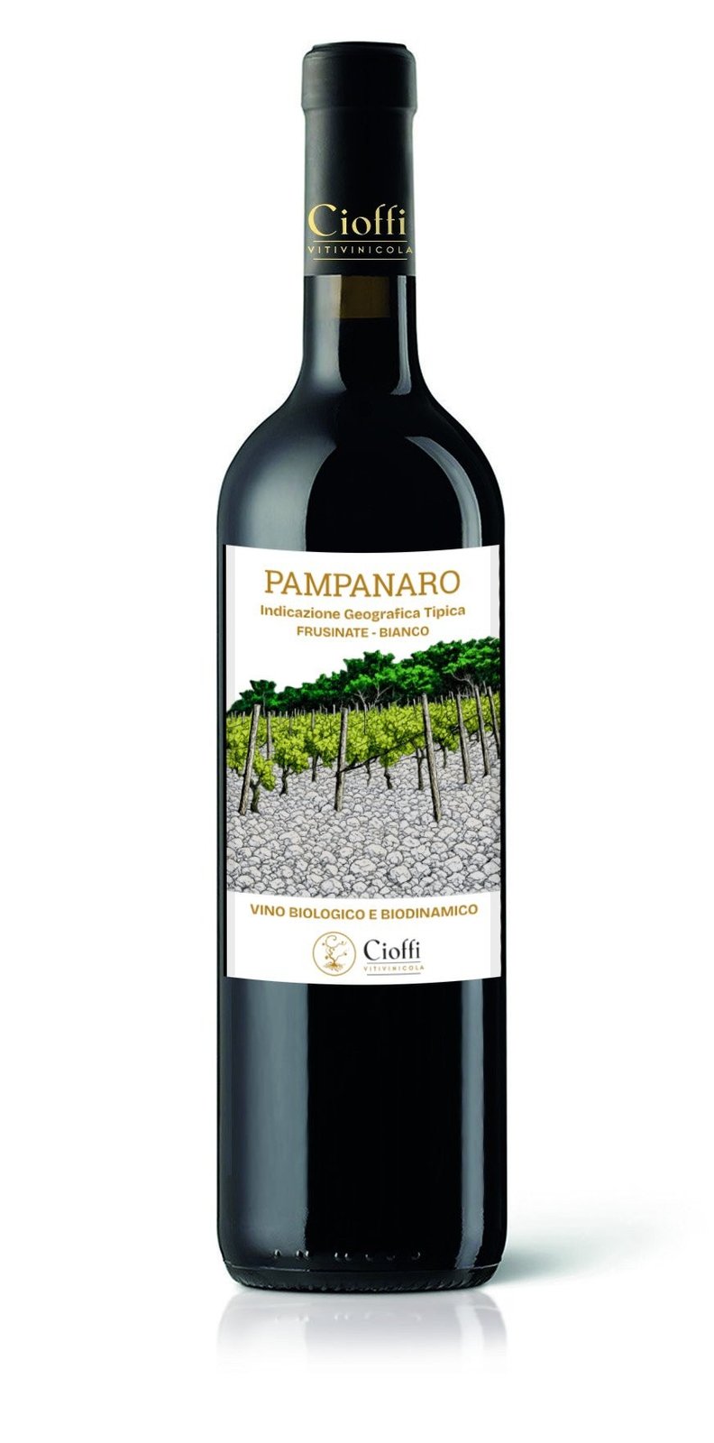 Pampanaro IGT del Frusinate Biologico e Biodinamico 2024